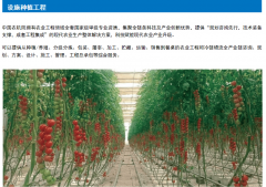  专业不雅众